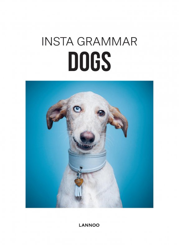 NEW MAGS - Instagrammar Dogs