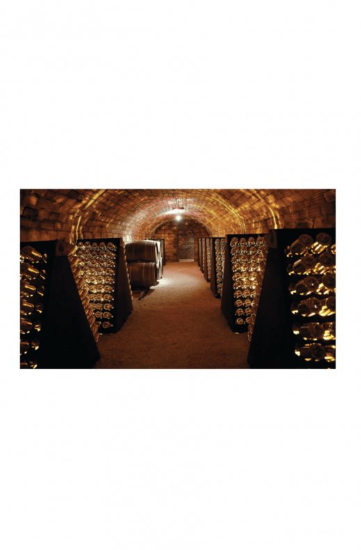NEW MAGS - The Treasures of Champagne